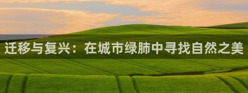新宝亚洲GG:迁移与复兴:在城市绿肺中寻找自然之美