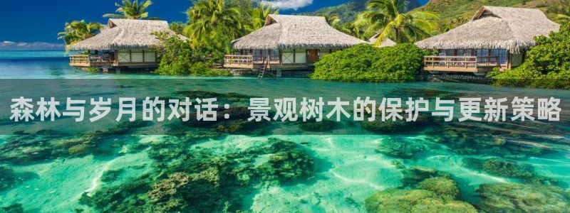 新宝gg平台首页:森林与岁月的对话:景观树木的保护与更新策略