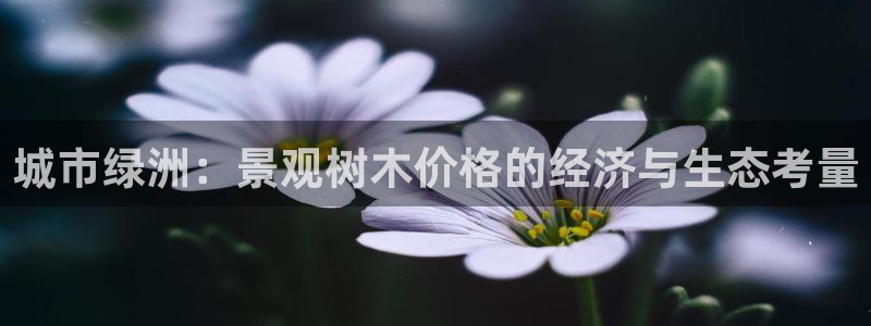 新宝gg 登陆:城市绿洲:景观树木价格的经济与生态考量