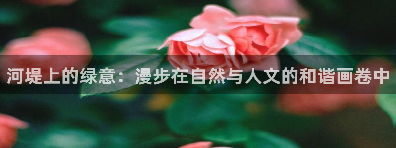 新宝gg手机登录:河堤上的绿意:漫步在自然与人文的和谐画卷中